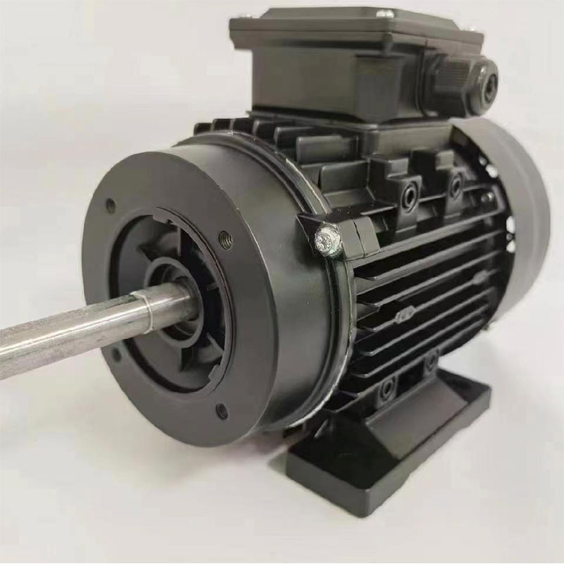 AC Pump Motor